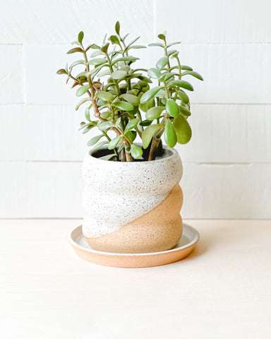 Speckled Cloud Dipped Planter + Tray