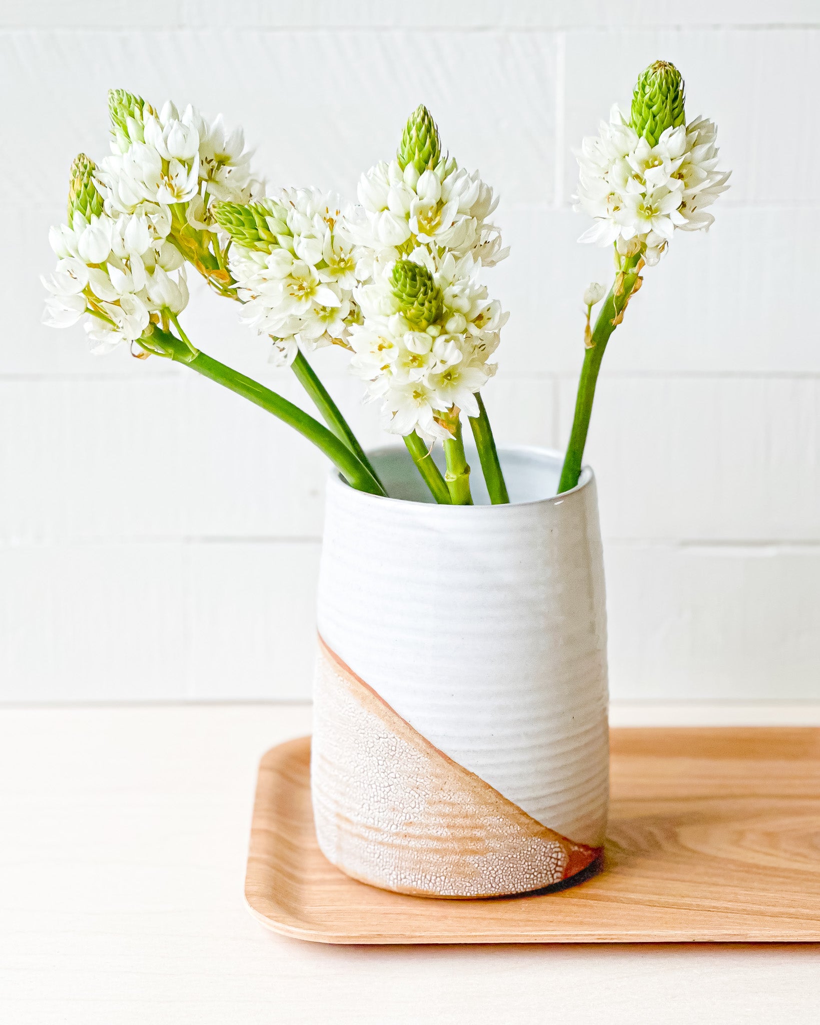 Modern Vase // Gloss White + Textured Crackle